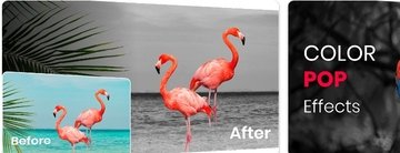 Color pop effects is a free application where you can apply so many effects on your photo 